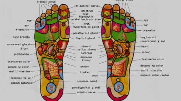 Class Reflexology and SPA 